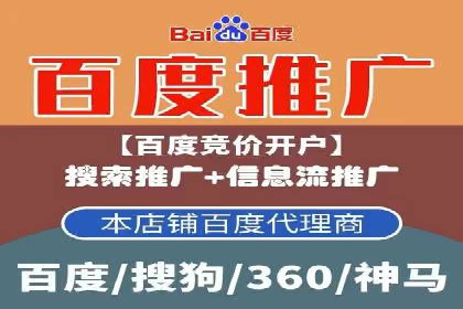探索百度SEM竞价推广的奥秘：某行业巨头的成功经验